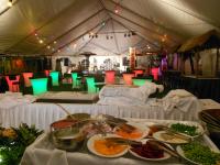 Take your party back outside but underneath a large tent.  This has room for tables, chairs, dance floor stage, tiki bar food and more!